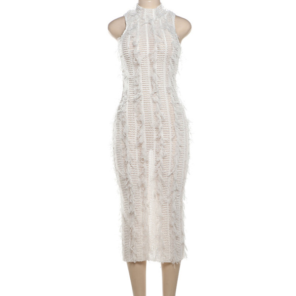 Tassel Perspective Slim Fit Perspective Mesh Dress
