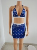 Two piece swimsuit short skirt set