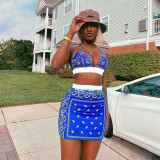 Two piece swimsuit short skirt set