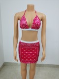 Two piece swimsuit short skirt set