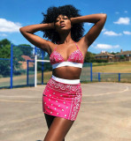 Two piece swimsuit short skirt set