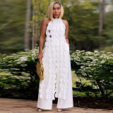 Open back lace up long top wide leg pants set