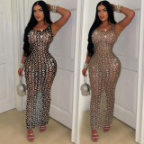 Women's Sexy Mesh Perspective Dress