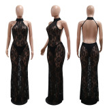 Lace Perspective Open Backpack Hip Nightclub Dress