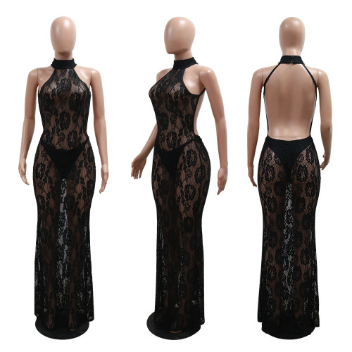 Lace Perspective Open Backpack Hip Nightclub Dress
