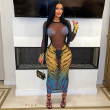Mesh Leopard Pattern Gradient Print Perspective Wrapped Hip Dress