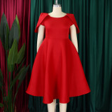 Elegant banquet dress