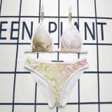 Split bikini gradient printed women's swimwear
