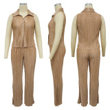 Women's sleeveless split pleated casual two-piece set