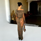 Diagonal Shoulder Long Sleeve Perspective Slim Fit Long Dress Dress