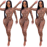 Perspective mesh leopard print jumpsuit