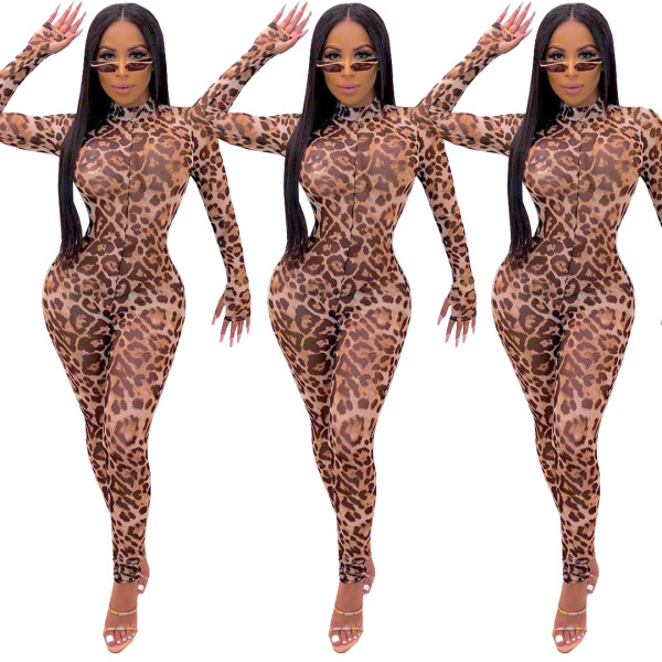 Perspective mesh leopard print jumpsuit