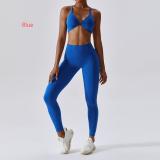 Bra+pants quick drying yoga exercise set