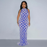 Sequined neck hanging backless long skirt dress