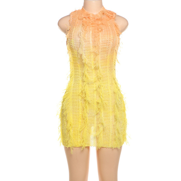 Sleeveless round neck gradient tassel high waisted dress