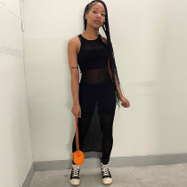 Threaded solid color round neck sleeveless slightly transparent dress