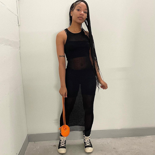 Threaded solid color round neck sleeveless slightly transparent dress