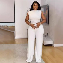 Sleeveless pleated wide leg jumpsuit