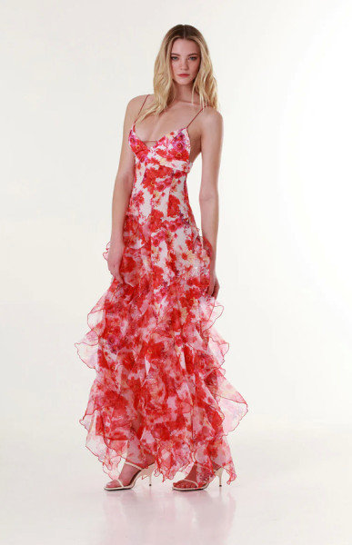 Chiffon printed long dress
