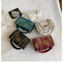 Printed chain carrying crossbody bag