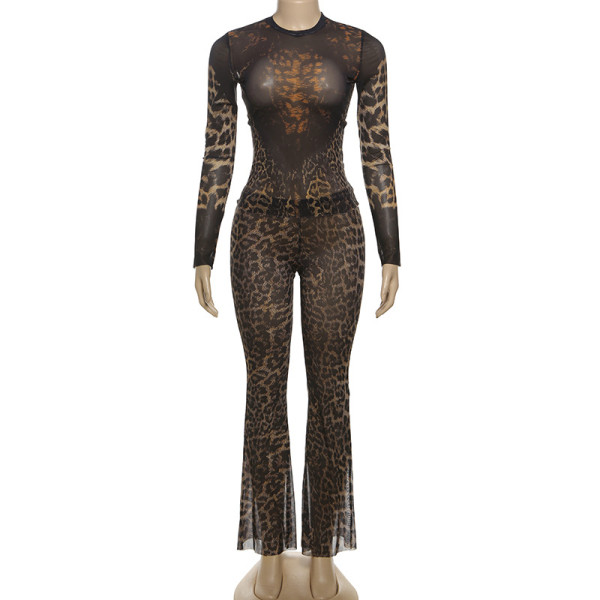 Leopard print high waisted crop top pants set