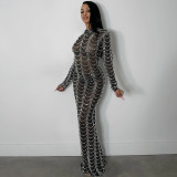 Hot stamping mesh see through long sleeved dress