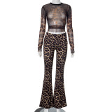 Flow leopard print high waisted crop top pants set