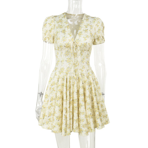 Floral V-neck dress