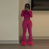 Long sleeved small flared solid color high elasticity two-piece set