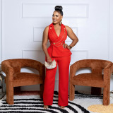 V-neck wide leg jumpsuit