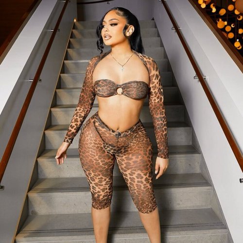 Leopard print mesh long sleeved shawl see through set