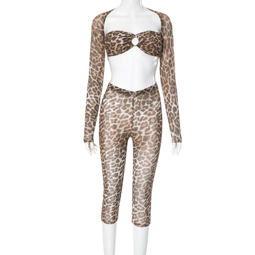 Leopard print mesh long sleeved shawl see through set