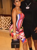 Printed chest hugging jumpsuit