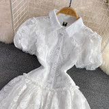 Flip collar single breasted white lace embroidered A-line cake dress