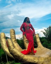 Hollow out slim fit fish tail floor mop dress