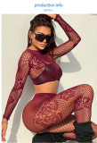 Deep V-lace long sleeved lace top