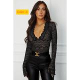 Deep V-lace long sleeved lace top