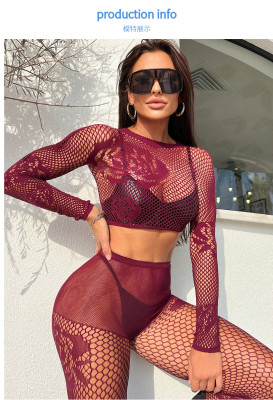 Deep V-lace long sleeved lace top