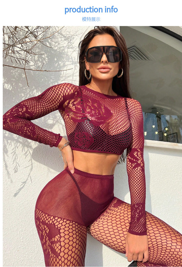 Deep V-lace long sleeved lace top