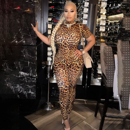 Leopard print short sleeved backless jumpsuit