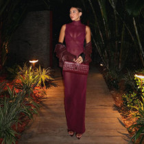 Perspective mesh high waist and hip hugging dress