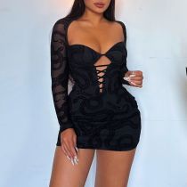 Long sleeved hip hugging short skirt, plush lace see through dress