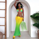 Printed bikini swimsuit three piece set