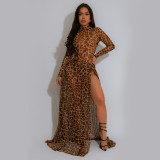 Leopard print long sleeved slit dress