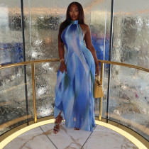 Floral gradient fairy dress with stand up collar long sleeved dress