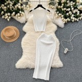 Short vest top paired with high waisted half body knitted skirt two-piece set