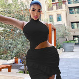Sleeveless dress with high neck, pullover, and hip hugging skirt