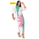 Lantern sleeve pleated dress