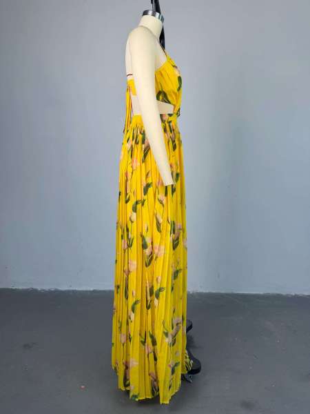 Printed V-neck camisole high waisted pleated dress long skirt