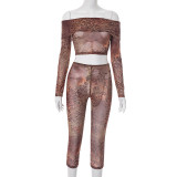 Floral leopard print mesh printed one shoulder lapel cropped pants set